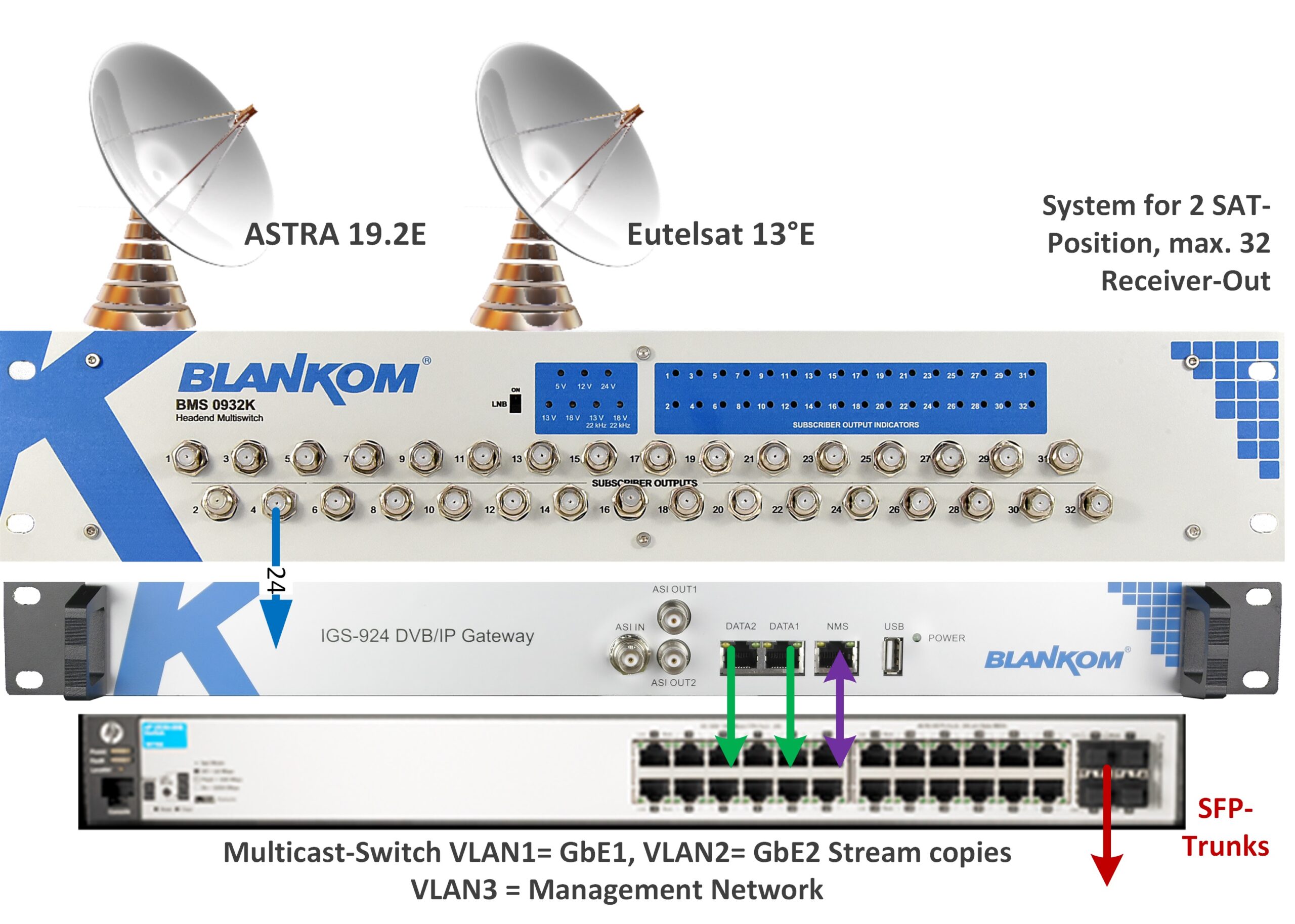 Application Example BMS-0932 and IGS-924